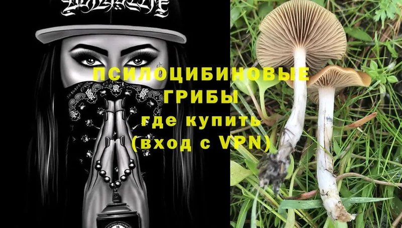 Галлюциногенные грибы MAGIC MUSHROOMS  Бабаево 